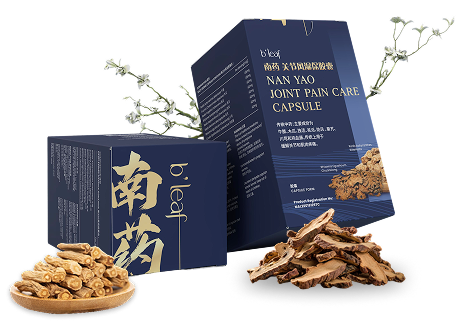 Group 382 南药关节风湿胶囊 Joint Pain Care Capsule